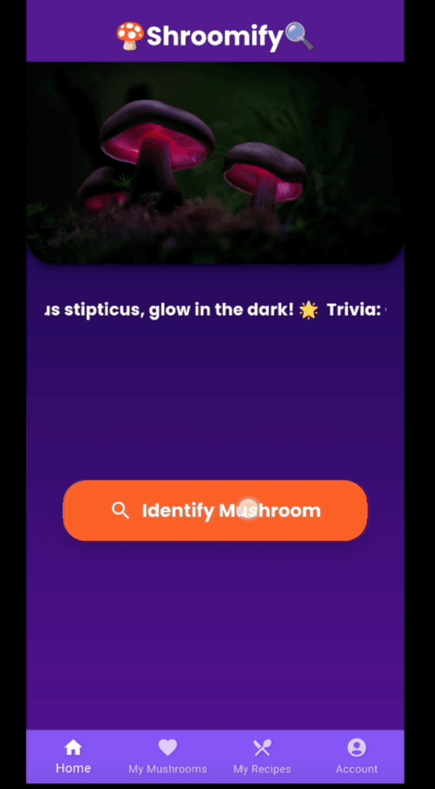 Shroomify - Mushroom Identification App
